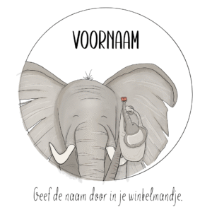 Gepersonaliseerde raamsticker | Olifant (60x60)