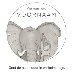 Gepersonaliseerde raamsticker | Olifant (60x60)