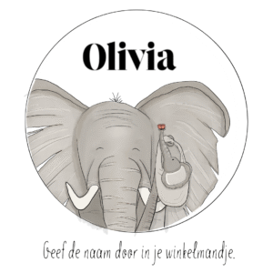 Gepersonaliseerde raamsticker | Olifant (60x60)